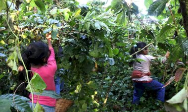 La explotación infantil en Chiapas exige acción y solidaridad