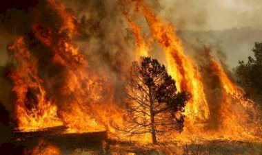 Piden familias rarámuris más recursos para mitigar incendios