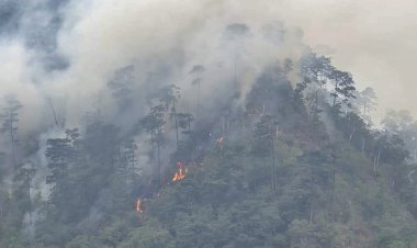 Apoyo y solidaridad en la lucha contra los incendios forestales en Huitzilan de Serdán