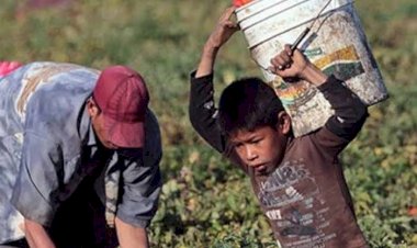 México, 2º en América Latina con alto nivel de trabajo infantil
