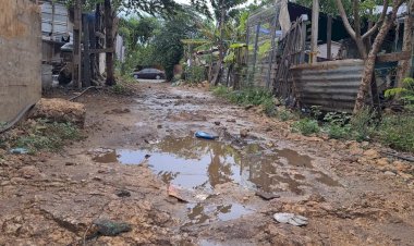 El incremento de casos de dengue y la pobreza en San Luis Potosí