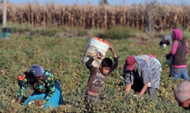 La 4T abandonó al campo oaxaqueño, denuncian