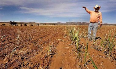 Atención al campo, deuda histórica del Gobierno