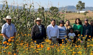 ENTREVISTA | La flor de cempasúchitl en Villa del Carbón