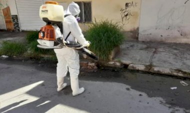 REPORTAJE | Alarmante aumento de dengue en Coahuila