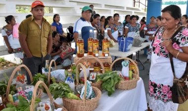 El trabajo informal en Quintana Roo