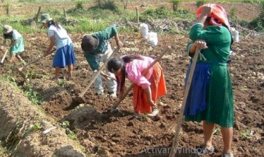 La importancia de los campesinos en la actualidad