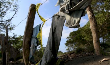 Veracruz, primer lugar nacional en fosas clandestinas