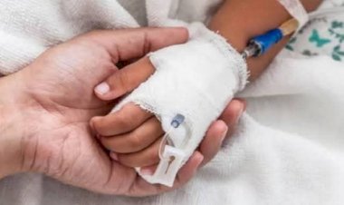 Muere niña de 3 años por picadura de alacrán en Zacatecas; no había antídoto