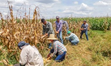 Más mexicanos se decepcionan de la 4T