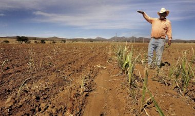 Discurso de la 4T, divorciado de la realidad de clases pobres