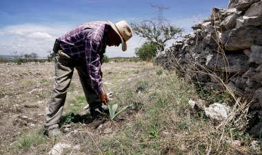 La sequía y la responsabilidad de los ciudadanos comunes
