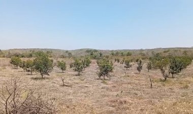 Familias de Tantoyuca sufren temperaturas extremas y falta de agua