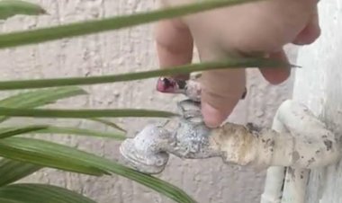En Quintana Roo 490 mil familias lidian por falta de agua potable