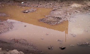 REPORTAJE | Delfina Gómez: promesas incumplidas y abandono del sector popular