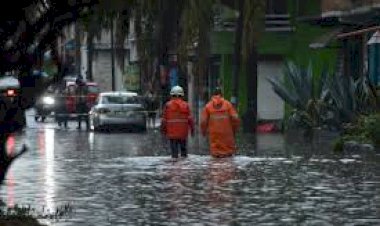 Inundaciones, fruto de la negligencia