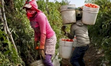 Grave situación comercial en la Región Lagunera