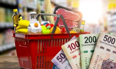 Alza a canasta básica en Guanajuato golpea economía familiar
