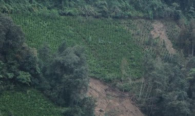 Damnificados de Huauchinango exigen apoyo gubernamental tras perder sus cultivos