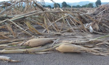 El campo hidalguense, víctima de las lluvias y abandono gubernamental