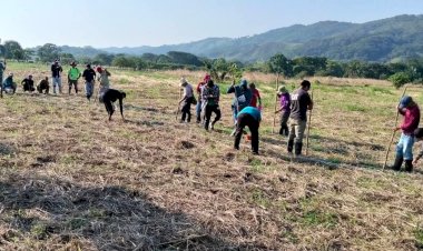 Denuncian campesinos istmeños falta de apoyo para cosechas