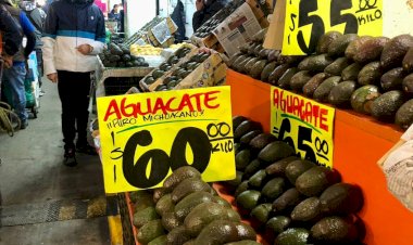 Se desploma el precio del aguacate