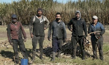 Jornaleros migrantes viven en condiciones deplorables