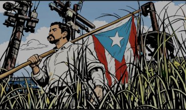 Super Bowl: ¿Capitalizando la inconformidad?