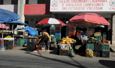 Antorcha advierte: canasta básica rebasa el salario mínimo y agrava la pobreza en Yucatán