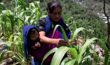 Más inflación contra menores salarios en Chiapas
